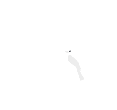 Fellows